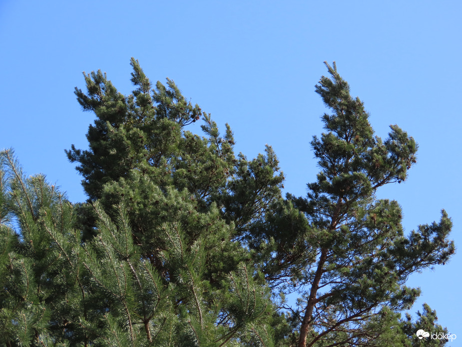 Felerősödött a szél