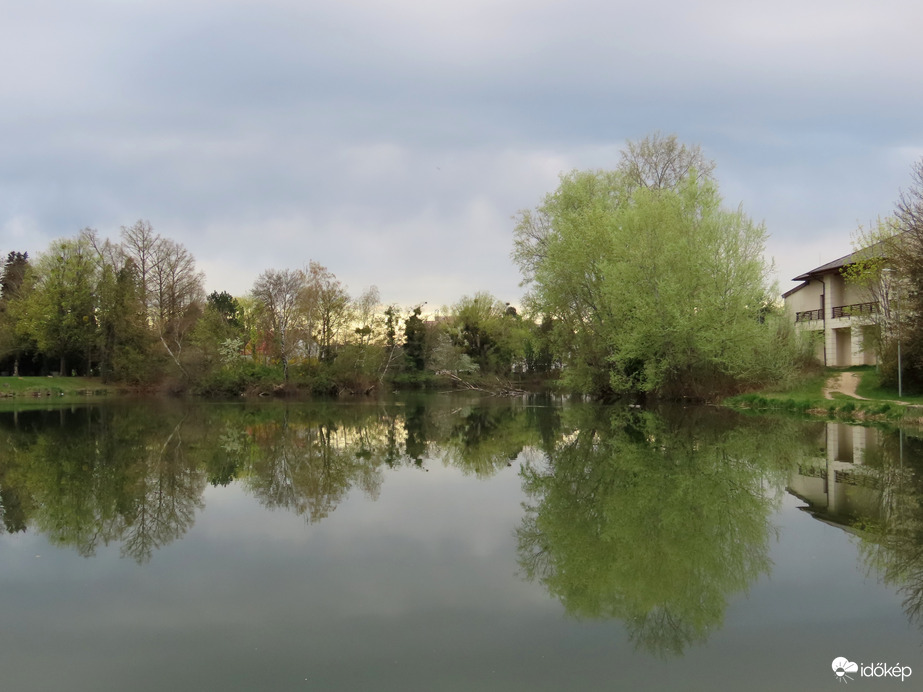 A Horgásztó kora reggel