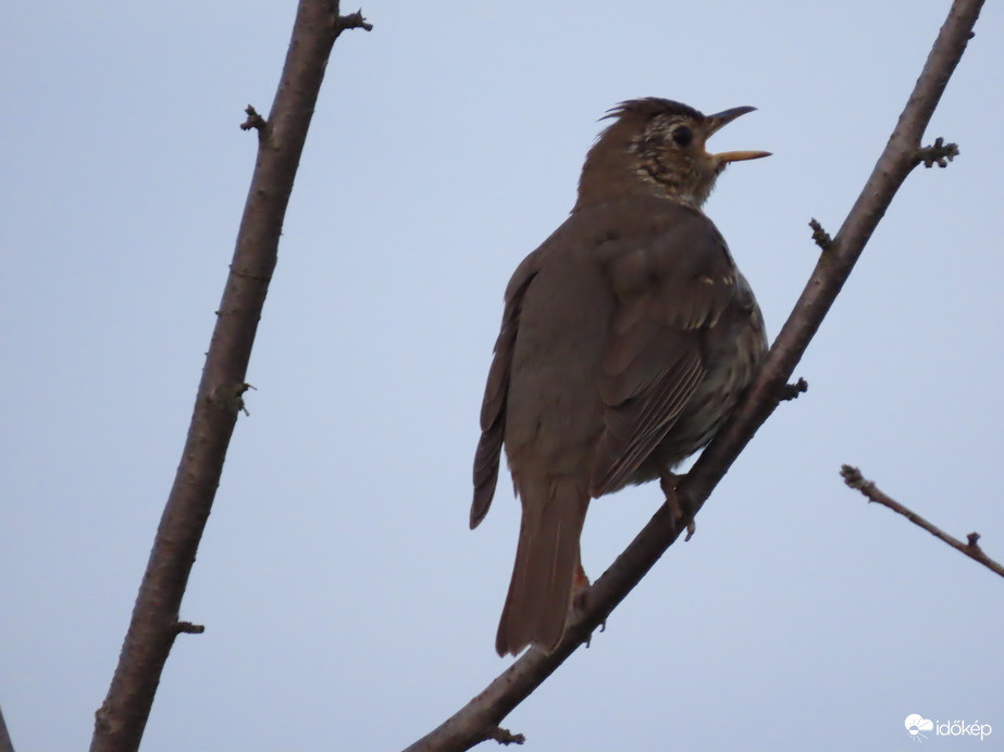 Dallal búcsúztatom a Napot