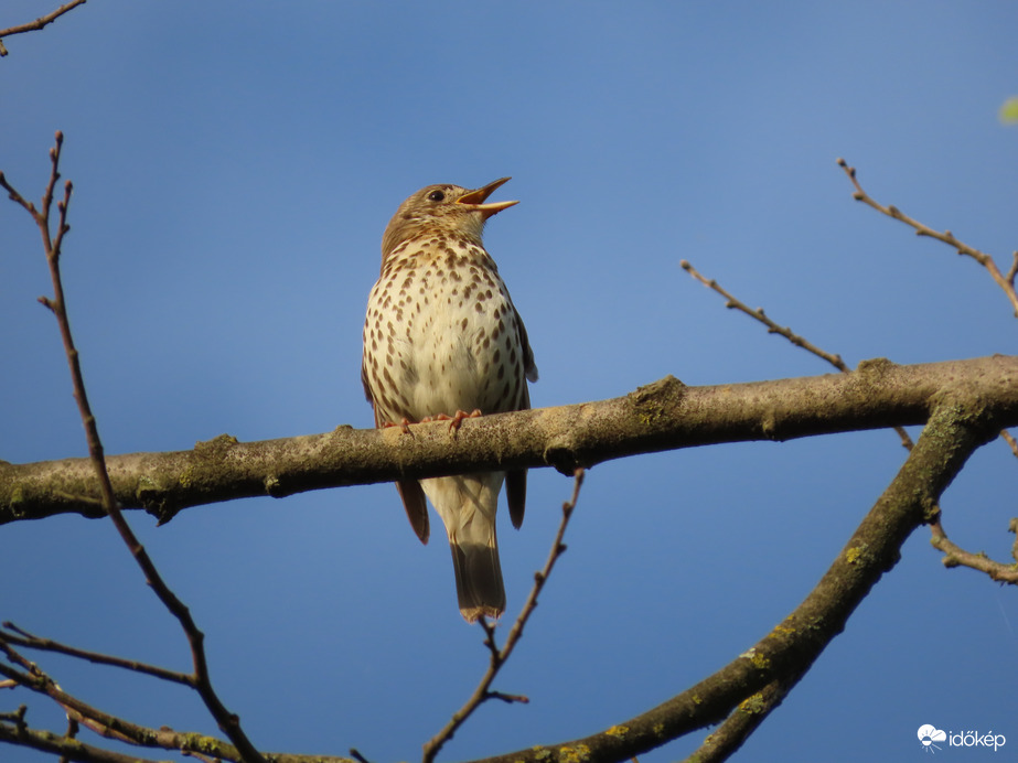 Szép napot Mindenkinek!