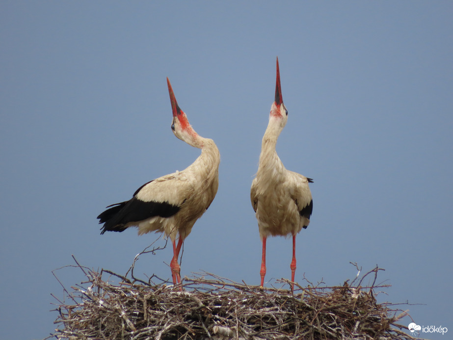 Örülünk egymásnak!