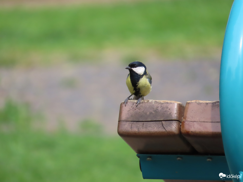 Sportolni készülök