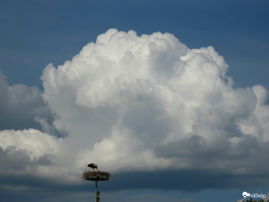 Gomolyok gólyafészekkel