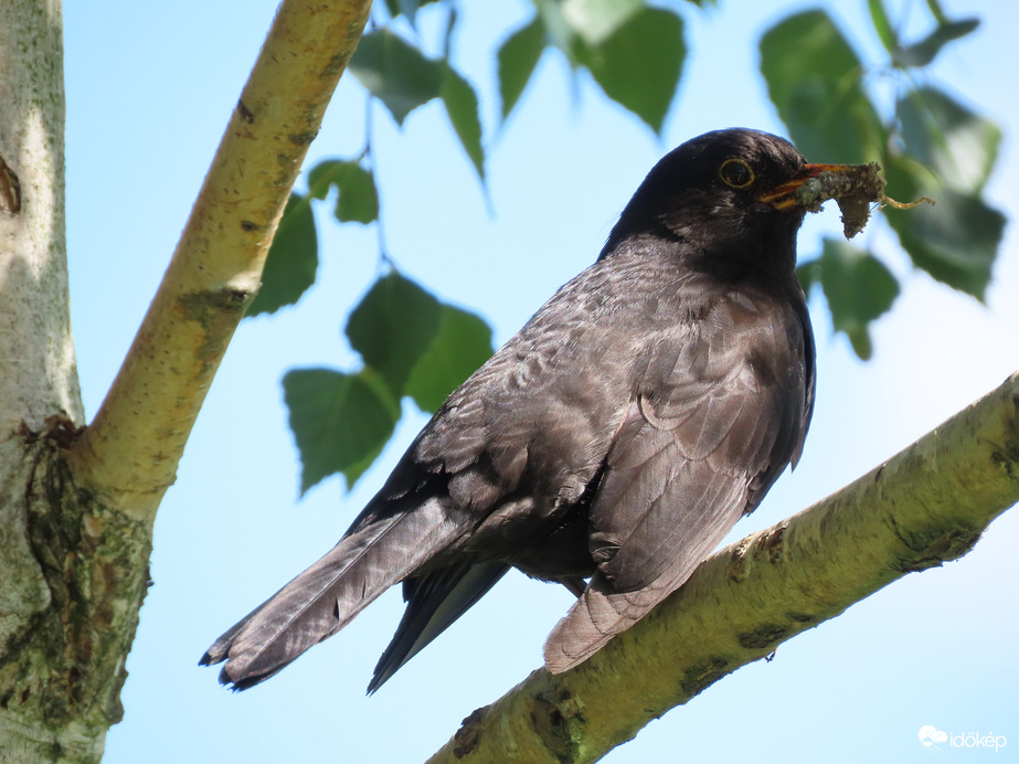 Látom! Addig nem etetek! 05. 24.