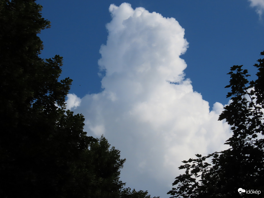 Magasba törő gomoly