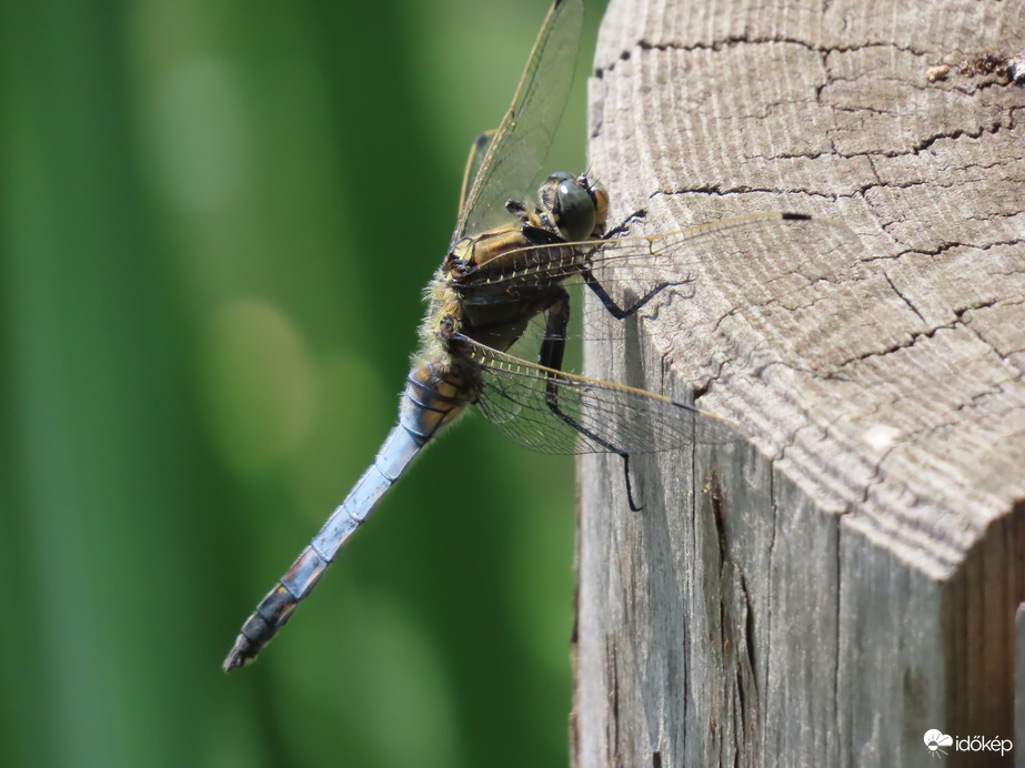 Jól megkapaszkodtam