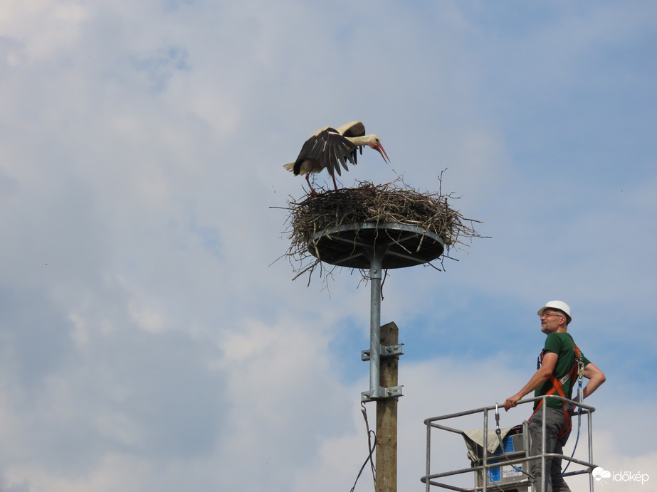 Nem engedem! Menj innen!