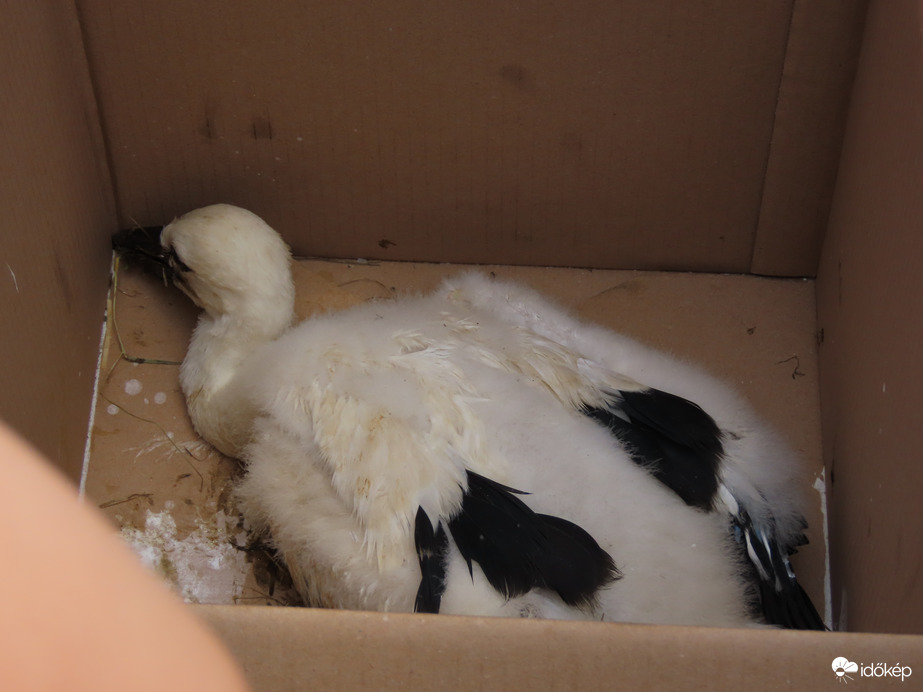 Meglapult a dobozban