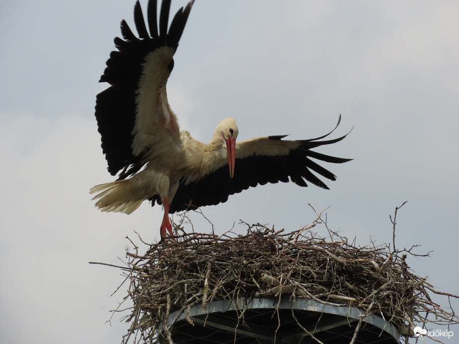 Visszajöttem. Ne félj, vigyázok rád!