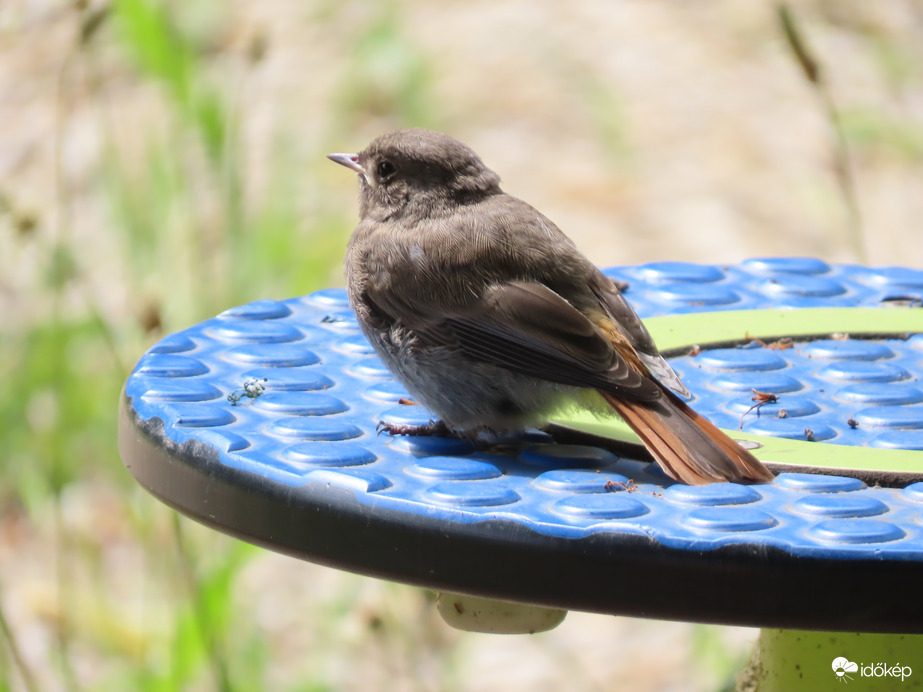 Már nagy vagyok! Ugye?