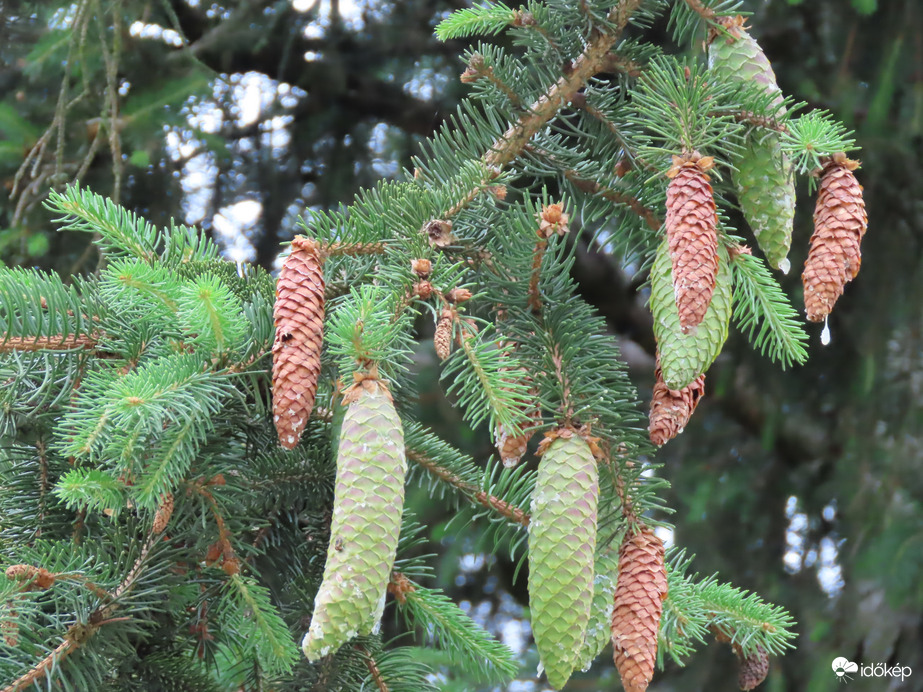 Régi és új találkozása