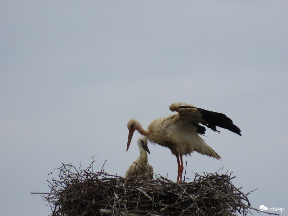 Így kell ezt csinálni!