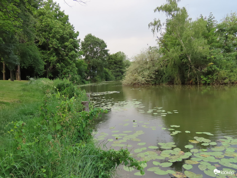 Horgásztó felhős reggelen