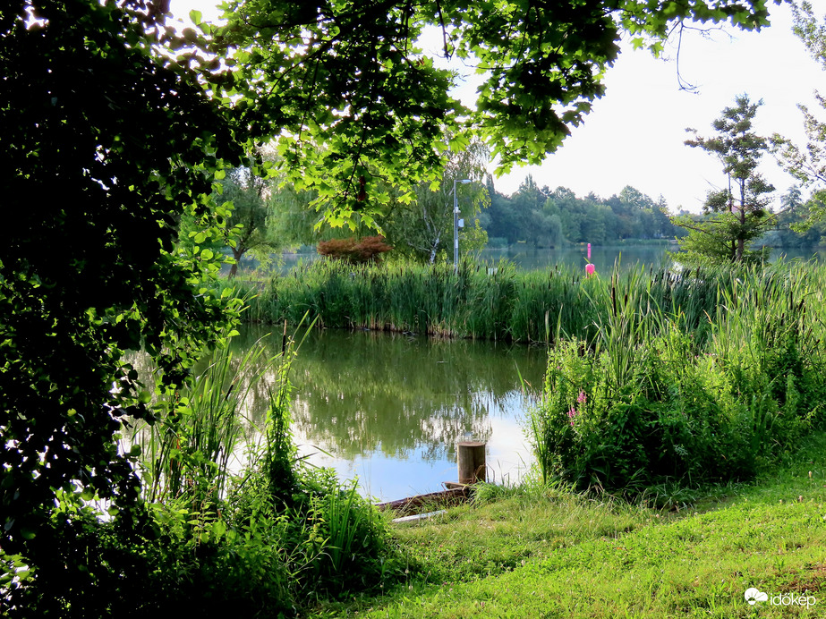 Nyári reggel a Csónakázó-és Horgásztónál