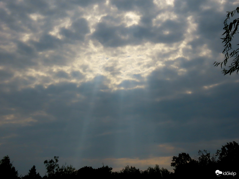 A sugarak a fákig érnek