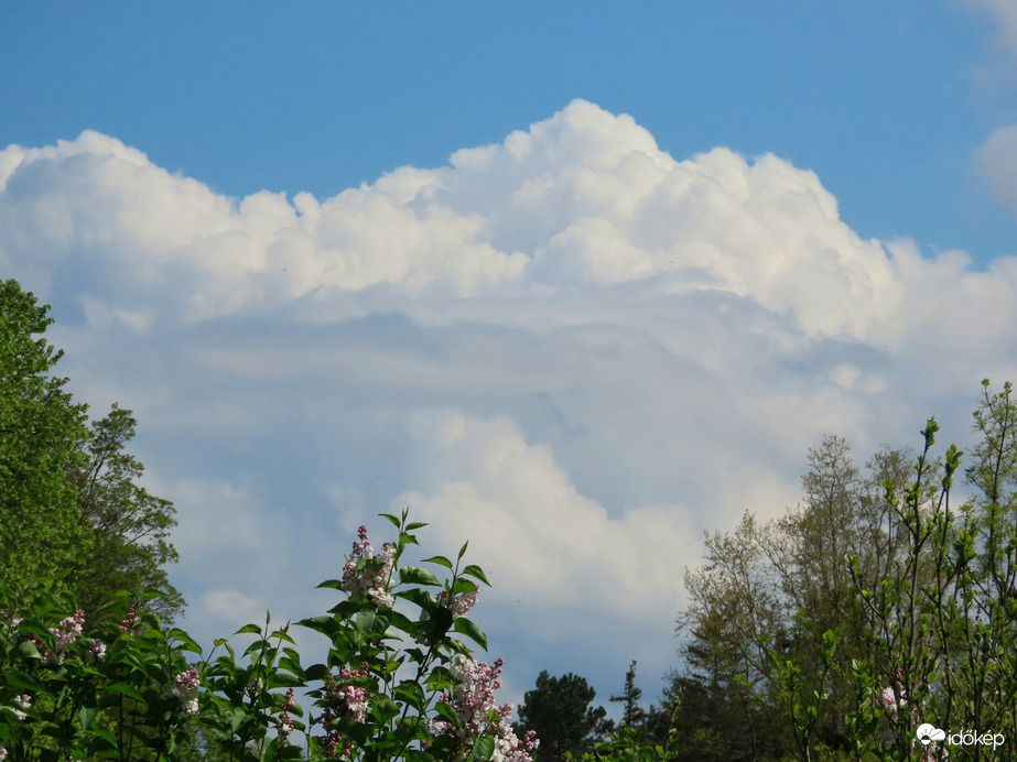 Gomolyfelhős délután