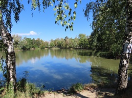 Horgásztó, Szombathely