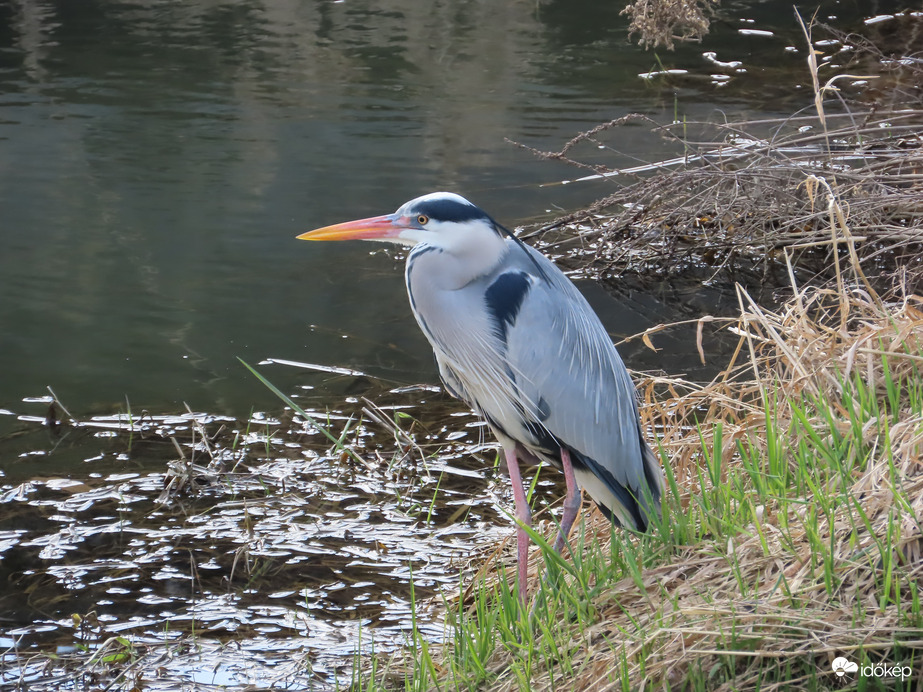 Új helyre költöztem
