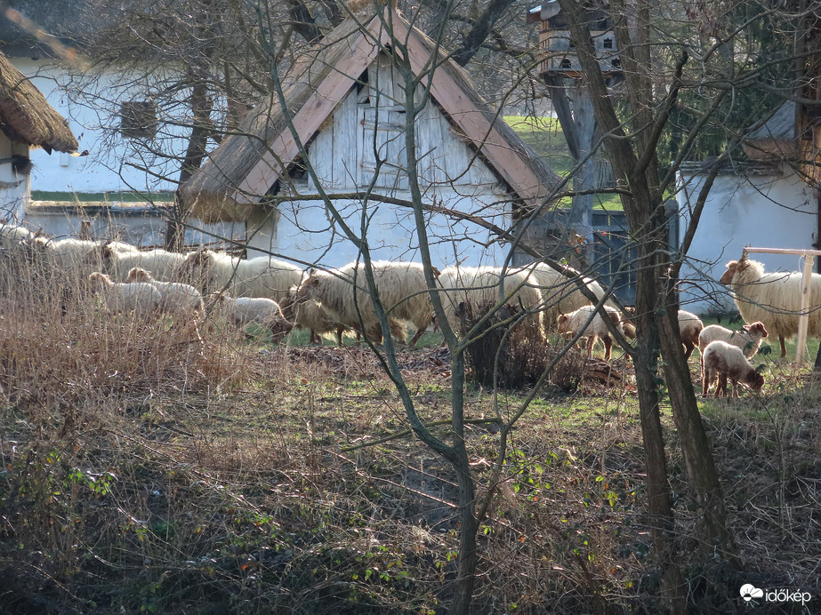 Hív a főnök! Futunk!