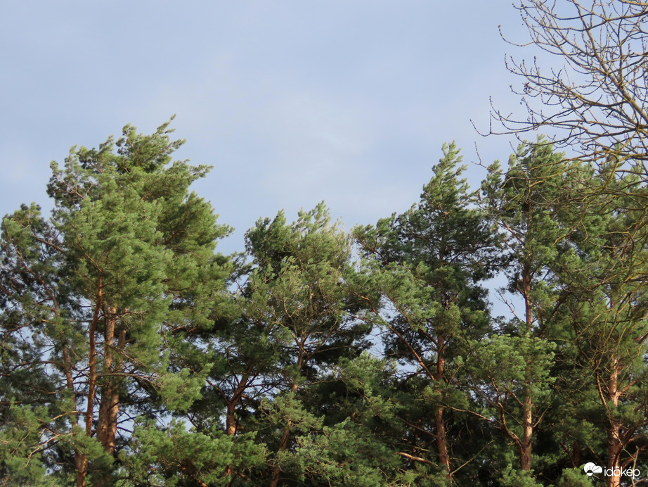 A szél továbbra is viharos