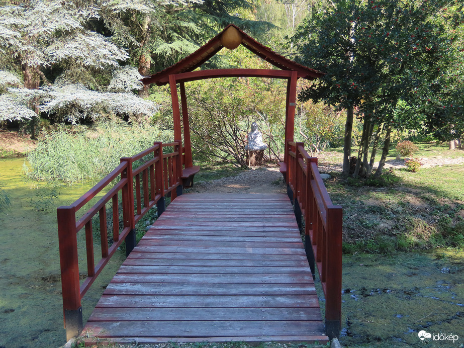 Kora őszi séta a Kámoni Arborétumban
