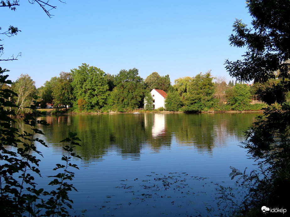 Mai tükör