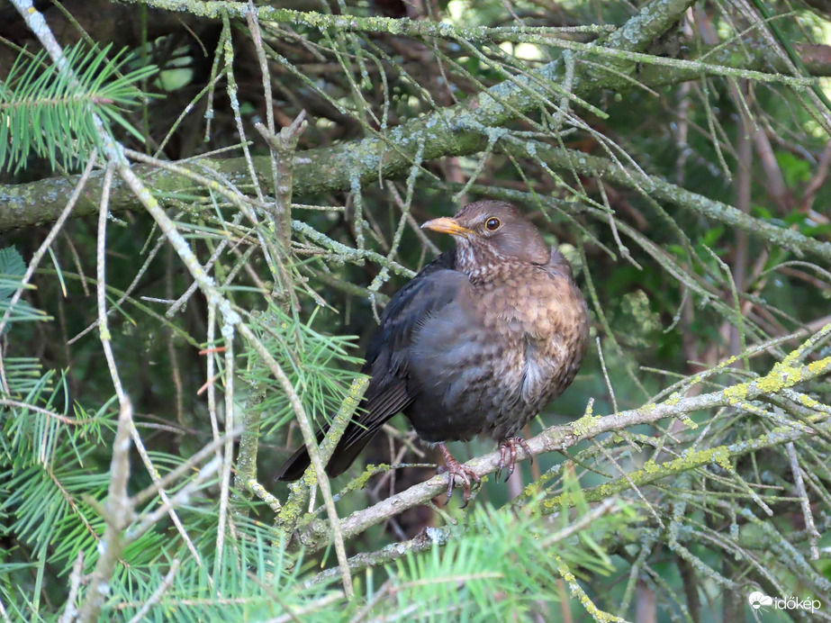 Nekem is jár a pihenő!