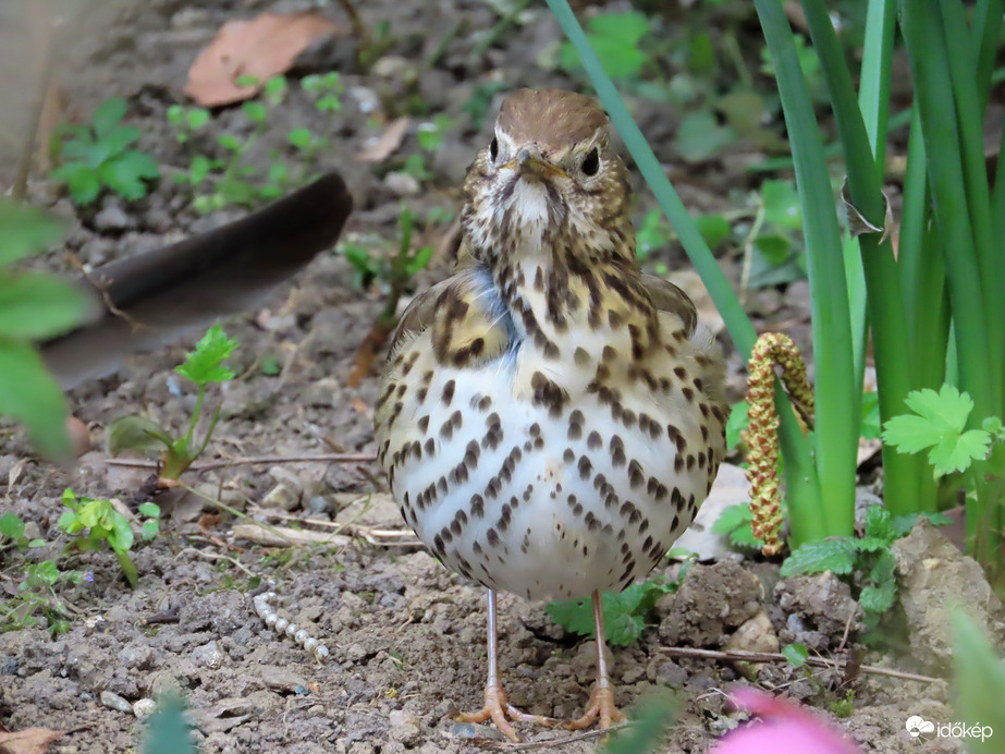 Észrevettem, hogy figyelsz!
