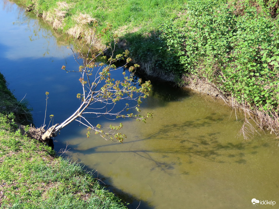 Árnyékok és fények a Perint patakon