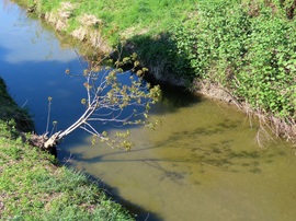 Árnyékok és fények a Perint patakon