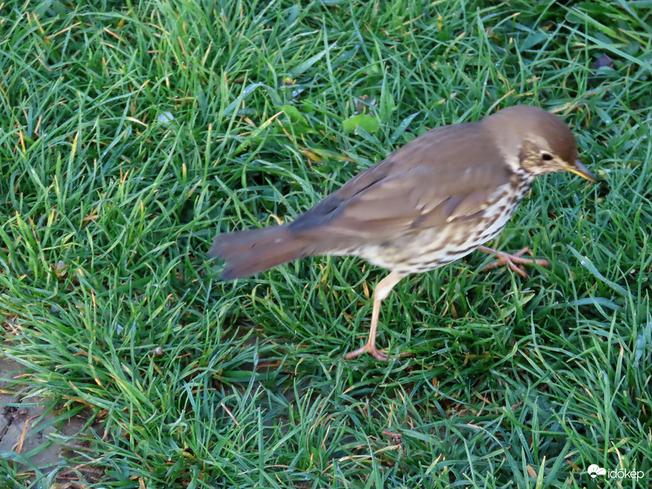 Terpeszben könnyebb elcsípni!