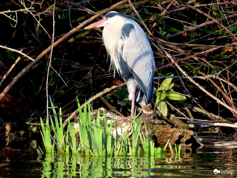 Ide álltam, itt jobban tudsz fotózni!