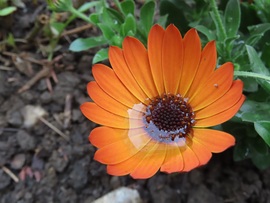 Megőriztem az esőcseppet