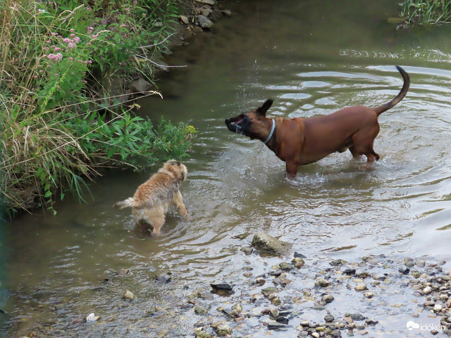 Boldog fürdőzők