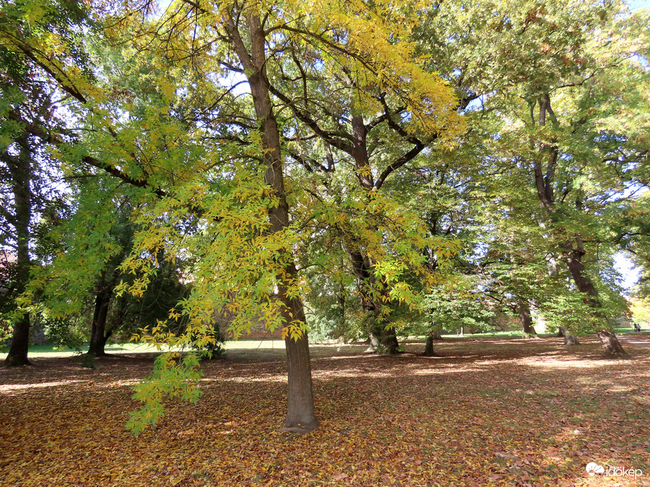 Őszi séta a Nádasdy vár parkjában