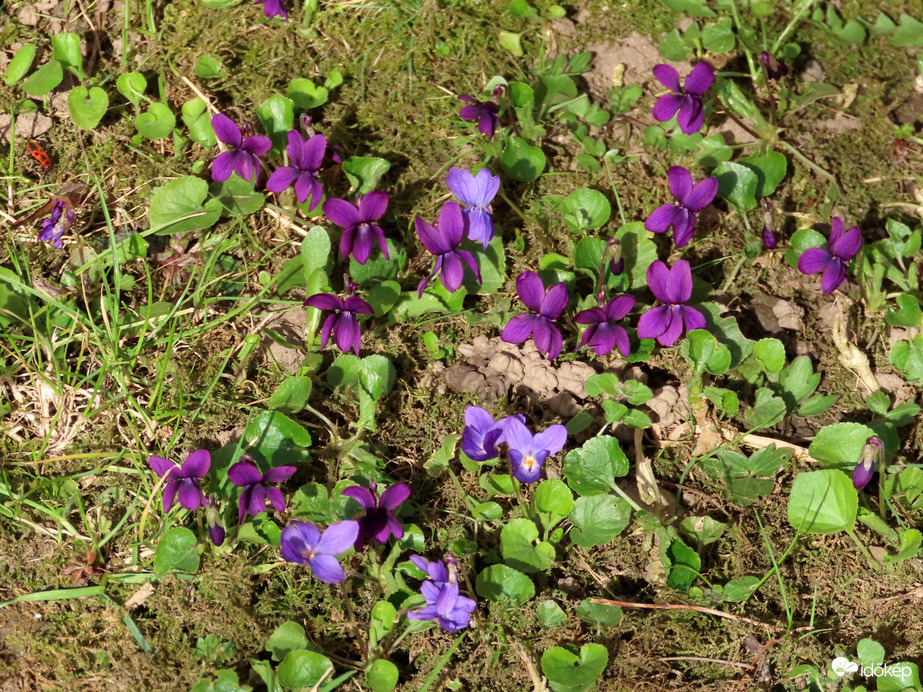 Illetfelhő lengi be a környéket