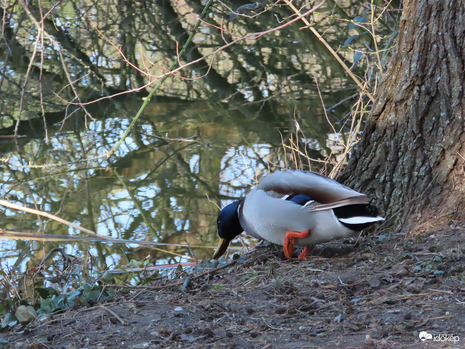 Körülnéztem a parton