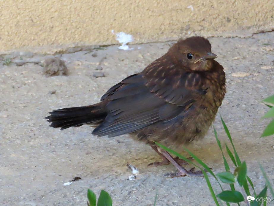 Ugye sokat nőttem a találkozásunk óta?