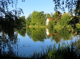 Reggel a Horgásztónál