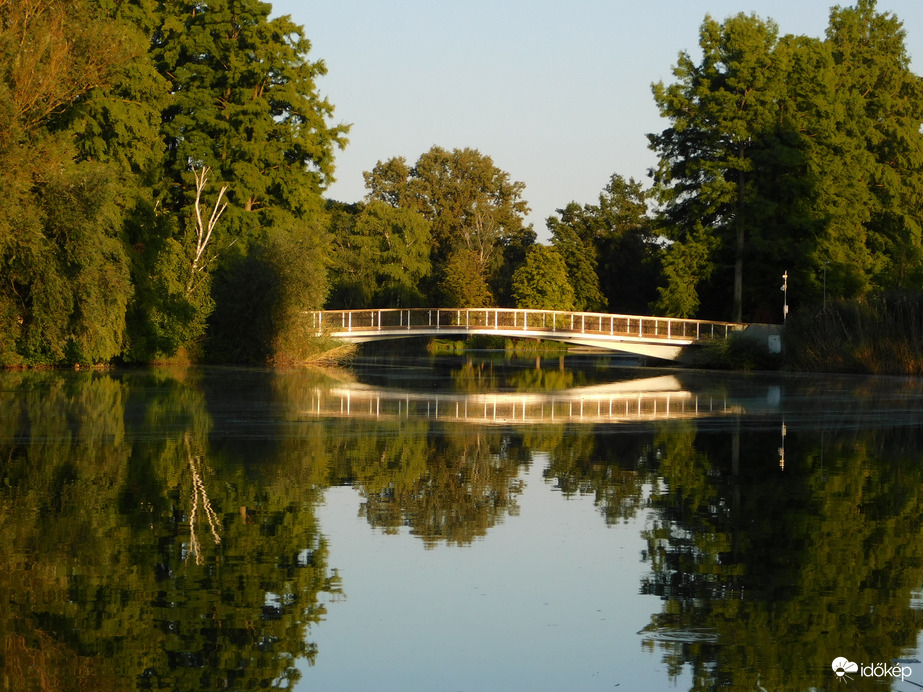 Fényben úszva
