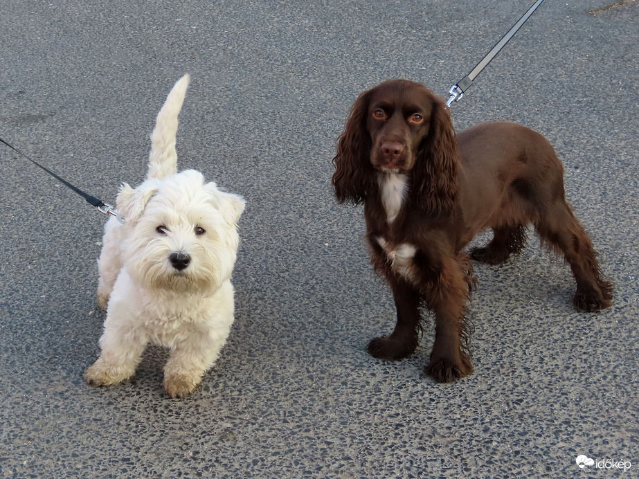 Egy gyors fotót kérünk!