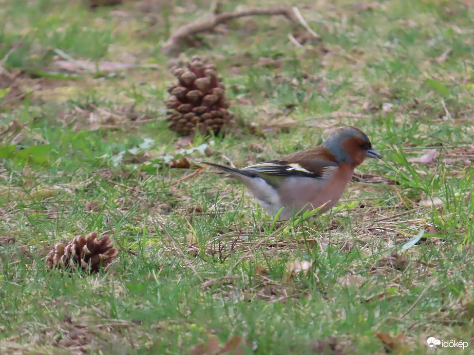 Állandó mozgásban