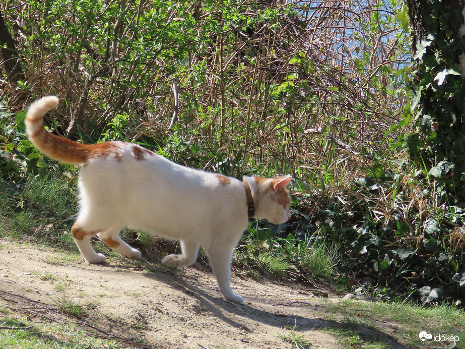 Indulok a tópartra!