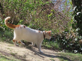 Indulok a tópartra!