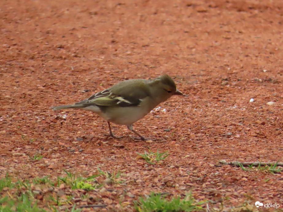 Állandó mozgásban
