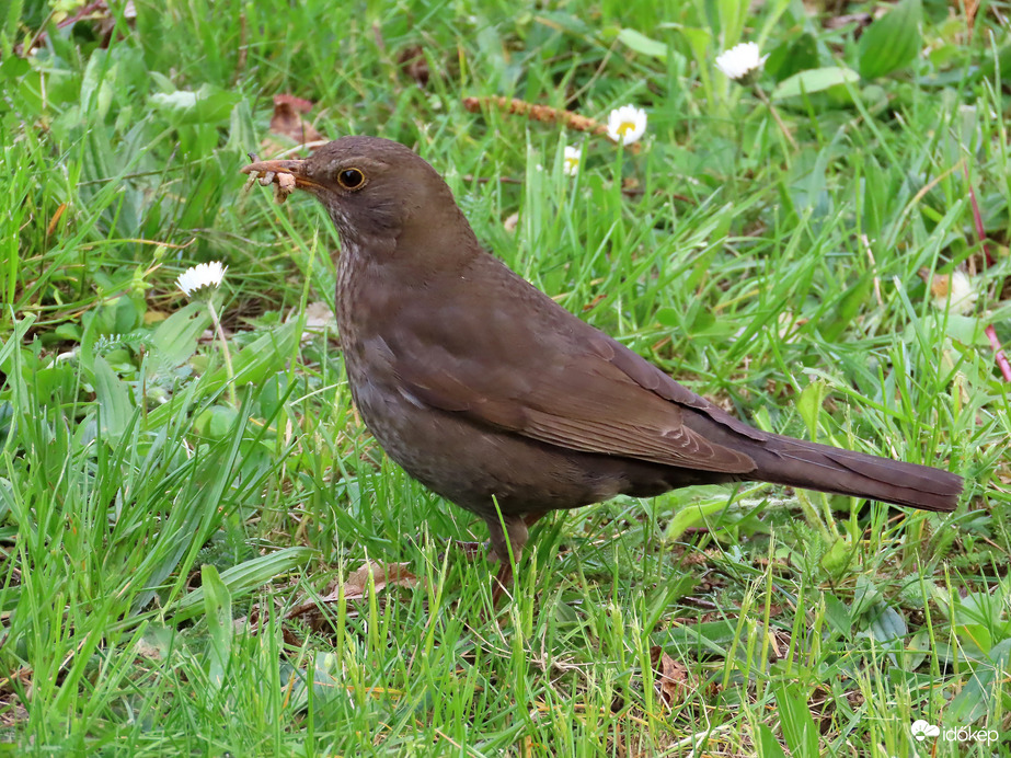 Látod, milyen sokat gyűjtöttem?