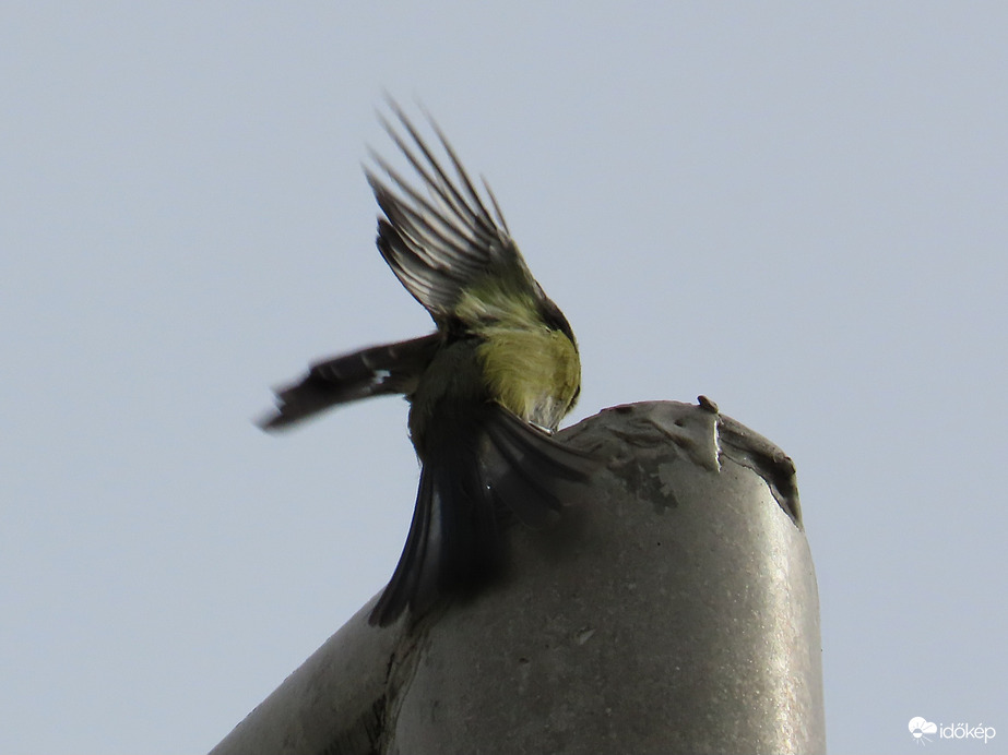 Ma is sokat sürgött-forgott