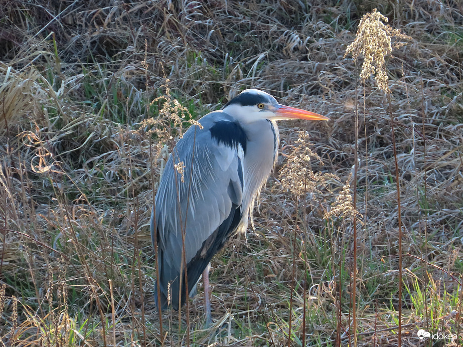Későn jöttél! Már alig tudtam kivárni!