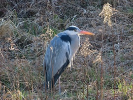 Későn jöttél! Már alig tudtam kivárni!