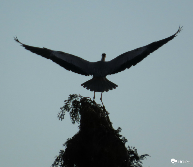 Átölelem a világot!